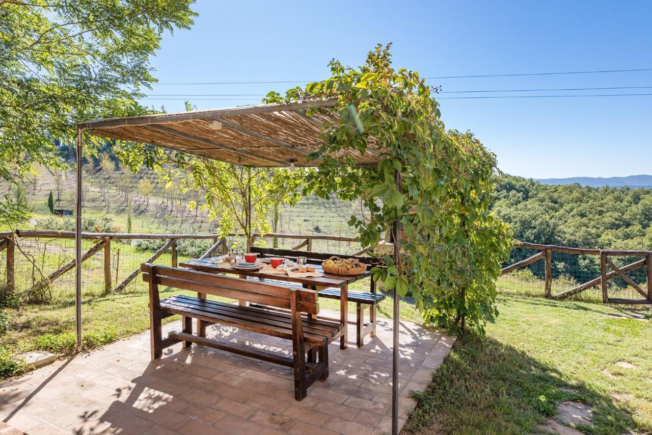 Podere Albereto Buonconvento Dış mekan fotoğraf